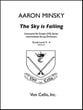 The Sky Is Falling Orchestra sheet music cover